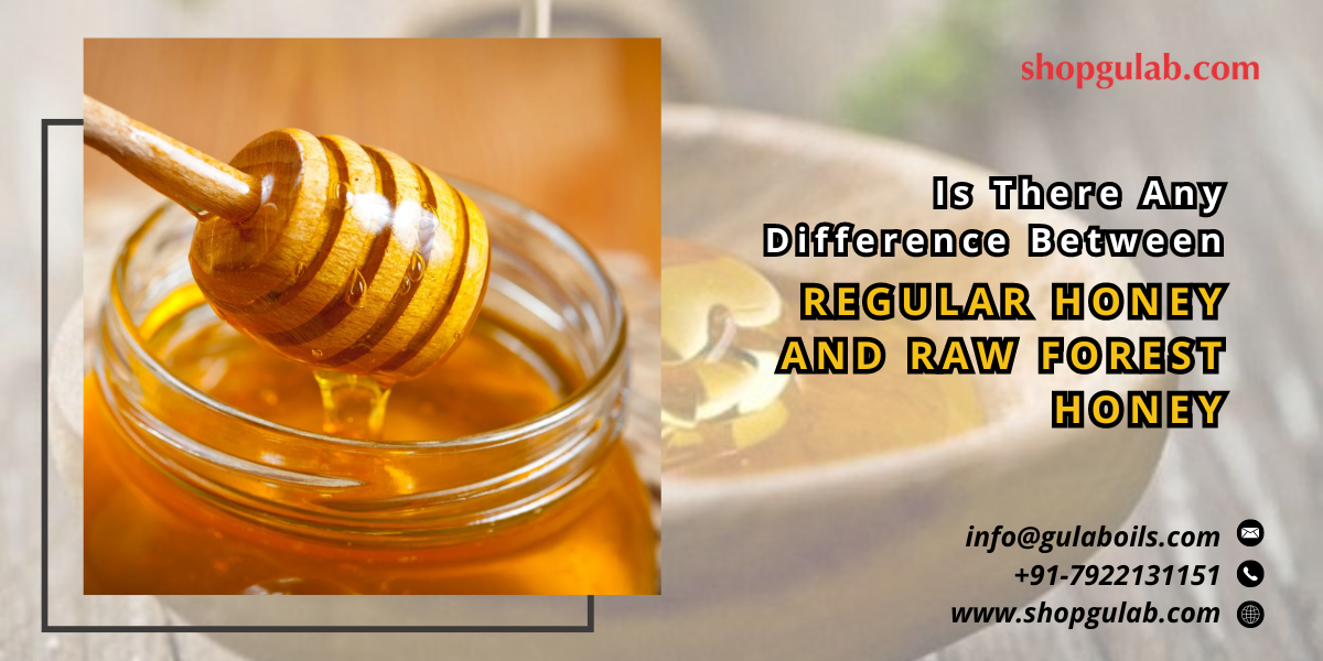 Is There Any Difference Between Regular Honey and Raw Forest Honey